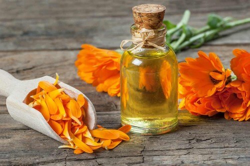 Olio di calendula.