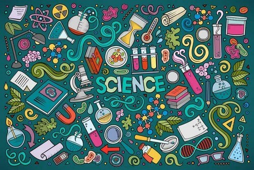 Come spiegare la cellula ai bambini con parole semplici