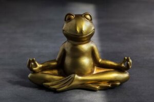 Tecnica della rana: un esercizio per l'autocontrollo infantile