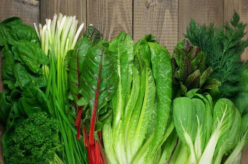 Verdure a foglia verde.