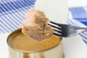 Mangiare il tonno in gravidanza: sì o no?