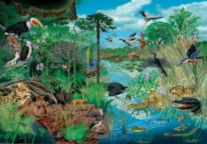 I regni degli esseri viventi: parlarne ai bambini con parole semplici