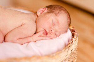 20 nomi maschili che iniziano con la lettera P
