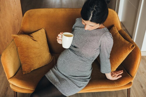 Consumare finocchio in gravidanza: sì o no?