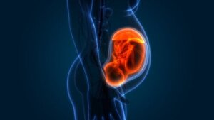 Gradi di maturazione della placenta
