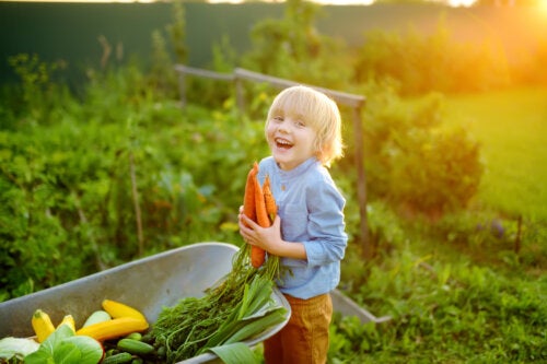 Benefici delle verdure per i bambini: quali sono?