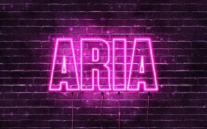 Il nome Aria: origine e significato