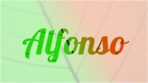 Il nome Alfonso: origine e significato