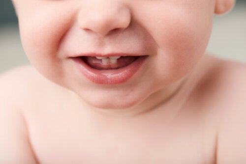 Primi dentini del bambino? Cosa fare e cosa no