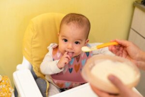 Omogeneizzati per iniziare l'alimentazione complementare