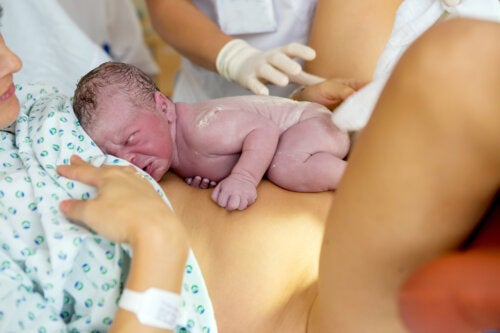 Vernix caseosa: cos'è e cosa c'è da sapere